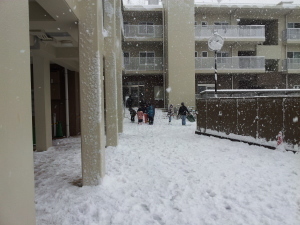 大雪20130114.jpg